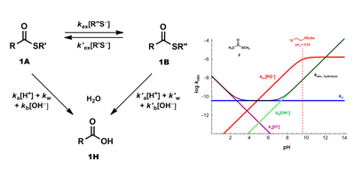 Graphical Abstract for Publication 13 - Thioester Kinetics