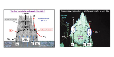 Graphical Abstract for Publication 17